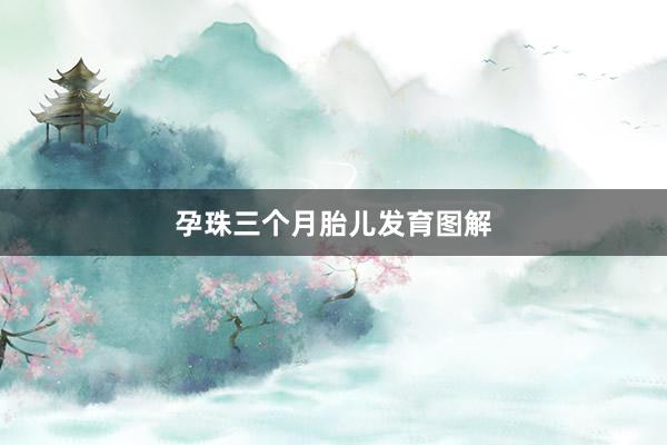 孕珠三个月胎儿发育图解