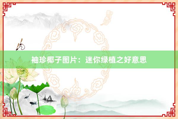 袖珍椰子图片：迷你绿植之好意思